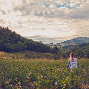 Das Bild zum Wochenspruch