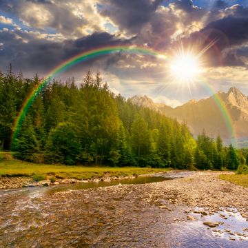 Das Bild zum Wochenspruch