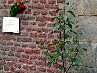 Rose mit Gedenktafel