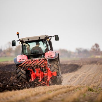 Das Bild zum Wochenspruch