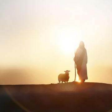 Das Bild zum Wochenspruch