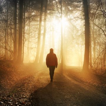 Das Bild zum Wochenspruch